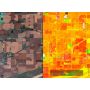 PIX4D Fields