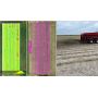 PIX4D Fields