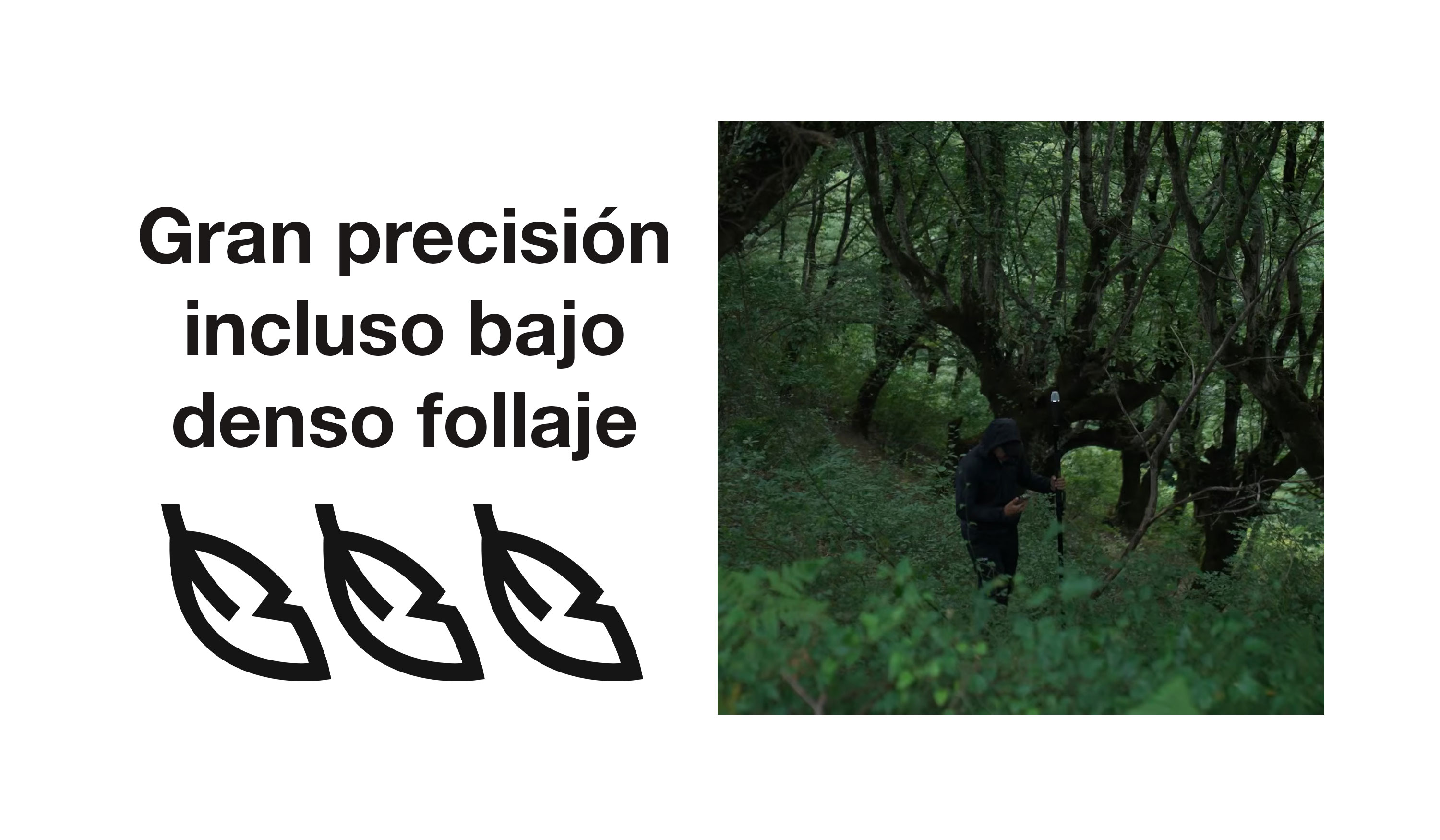 Gran precisión incluso bajo denso follaje